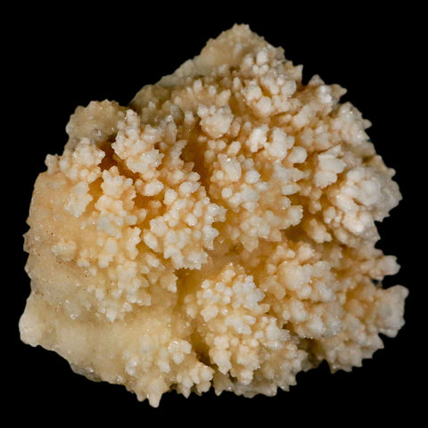 3.7" Botryoidal Aragonite Cave Calcite Crystal Cluster Mineral Specimen Morocco