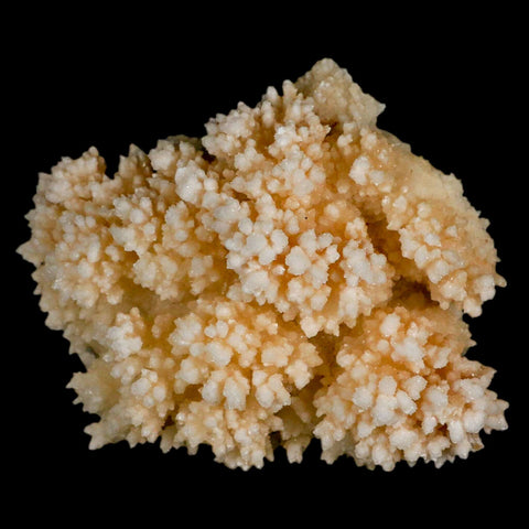 3.7" Botryoidal Aragonite Cave Calcite Crystal Cluster Mineral Specimen Morocco