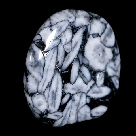42MM Pinolite Polished Palm Stone Mineral Specimen Panolith Austria - Fossil Age Minerals