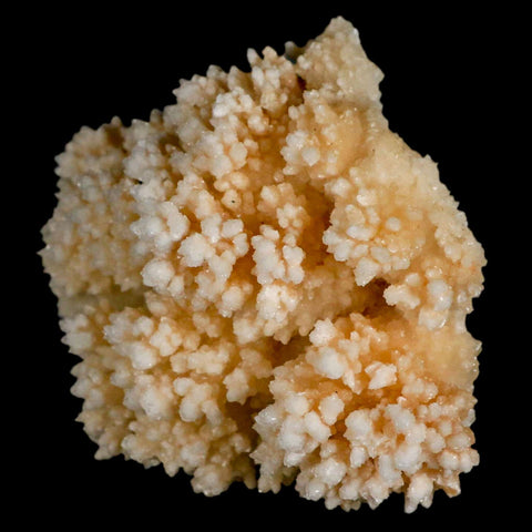 3.7" Botryoidal Aragonite Cave Calcite Crystal Cluster Mineral Specimen Morocco