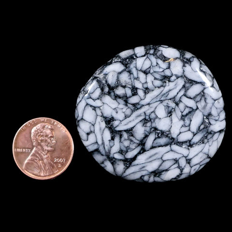 45MM Pinolite Polished Palm Stone Mineral Specimen Panolith Austria - Fossil Age Minerals
