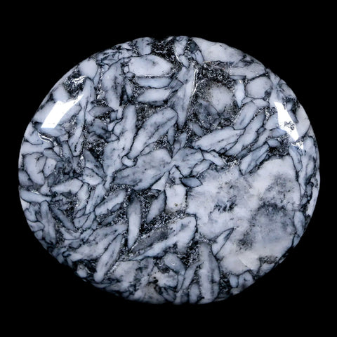 44MM Pinolite Polished Palm Stone Mineral Specimen Panolith Austria - Fossil Age Minerals