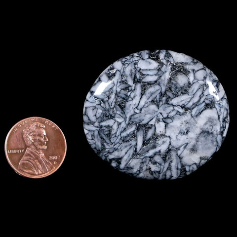 44MM Pinolite Polished Palm Stone Mineral Specimen Panolith Austria - Fossil Age Minerals