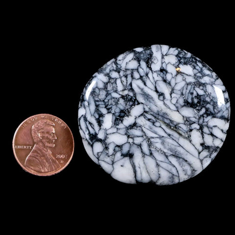 46MM Pinolite Polished Palm Stone Mineral Specimen Panolith Austria - Fossil Age Minerals
