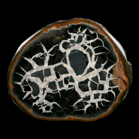 XL 3.9" Septarian Dragon Stone Polished Halves Nodule Mineral Specimen Morocco