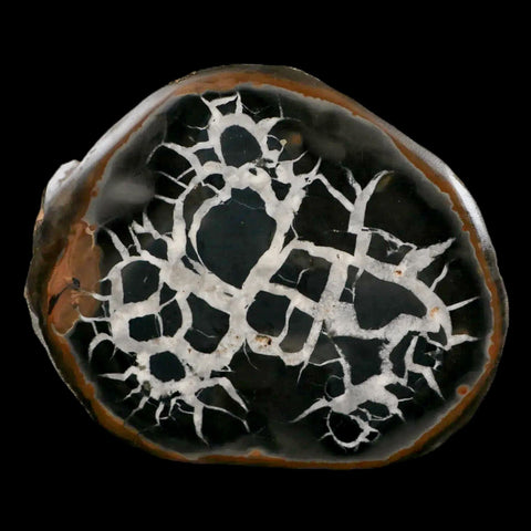 XL 3.9" Septarian Dragon Stone Polished Halves Nodule Mineral Specimen Morocco - Fossil Age Minerals