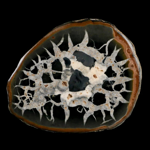 XL 3.3" Septarian Dragon Stone Polished Halves Nodule Mineral Specimen Morocco - Fossil Age Minerals