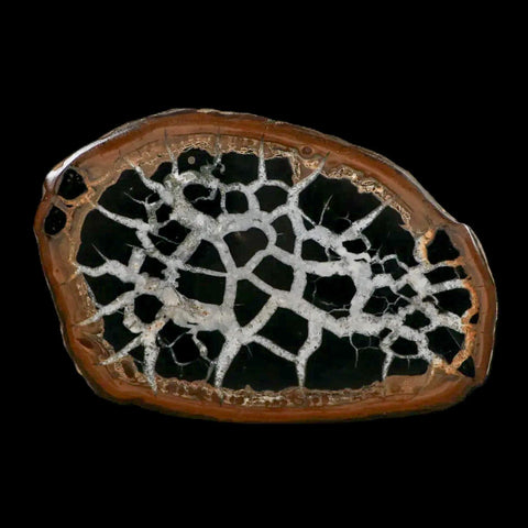 XL 4.5" Septarian Dragon Stone Polished Halves Nodule Mineral Specimen Morocco - Fossil Age Minerals