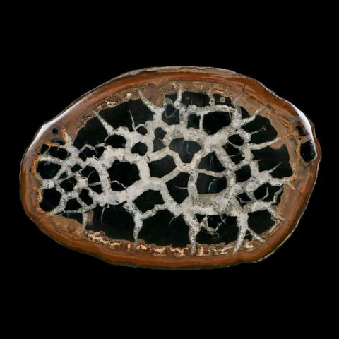 XL 4.5" Septarian Dragon Stone Polished Halves Nodule Mineral Specimen Morocco - Fossil Age Minerals