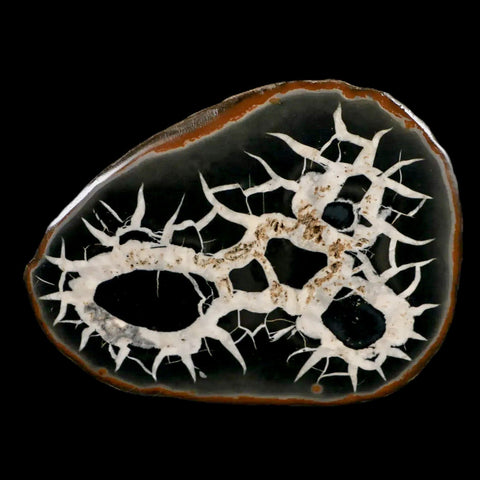 XL 4" Septarian Dragon Stone Polished Halves Nodule Mineral Specimen Morocco - Fossil Age Minerals