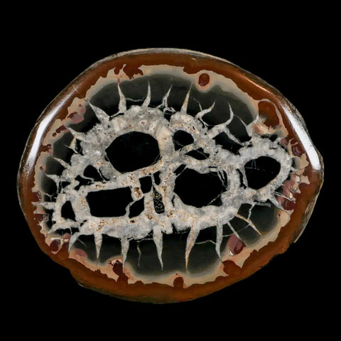 XL 4" Septarian Dragon Stone Polished Halves Nodule Mineral Specimen Morocco - Fossil Age Minerals