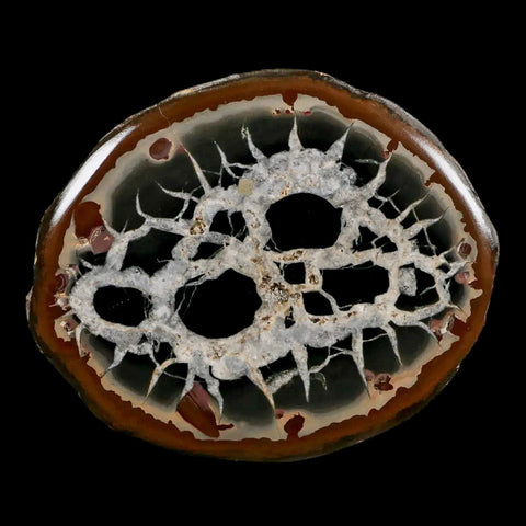 XL 4" Septarian Dragon Stone Polished Halves Nodule Mineral Specimen Morocco - Fossil Age Minerals