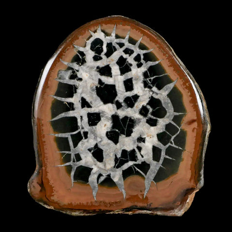 2.9" Septarian Dragon Stone Polished Halves Nodule Mineral Specimen Morocco - Fossil Age Minerals