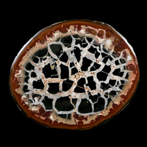 XL 3.9" Septarian Dragon Stone Polished Halves Nodule Mineral Specimen Morocco - Fossil Age Minerals