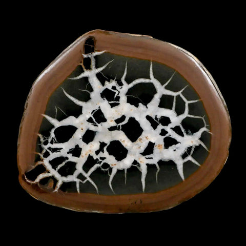 XL 3.6" Septarian Dragon Stone Polished Halves Nodule Mineral Specimen Morocco - Fossil Age Minerals