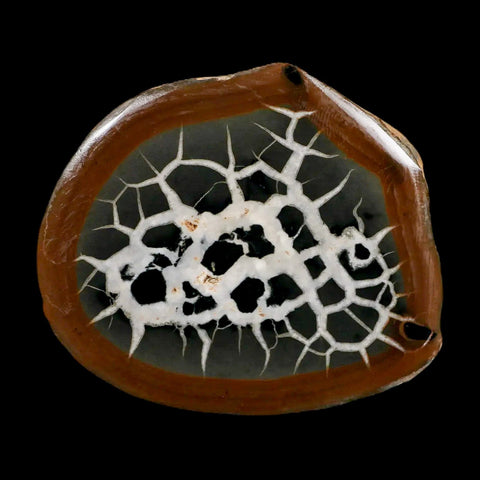 XL 3.6" Septarian Dragon Stone Polished Halves Nodule Mineral Specimen Morocco - Fossil Age Minerals