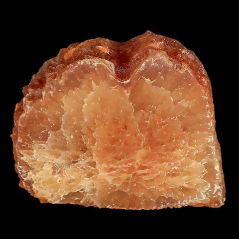 2.4" Natural Cut Rough Cave Honey Calcite Crystal Mineral Specimen Morocco - Fossil Age Minerals