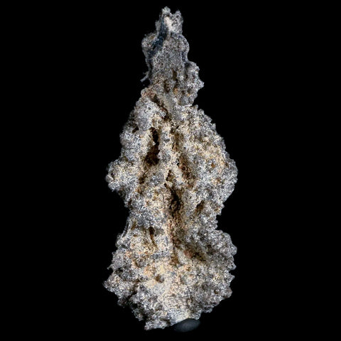 XL 3.1" Fulgurite Petrified Lighting Strike Glass Sahara Desert Algeria - Fossil Age Minerals