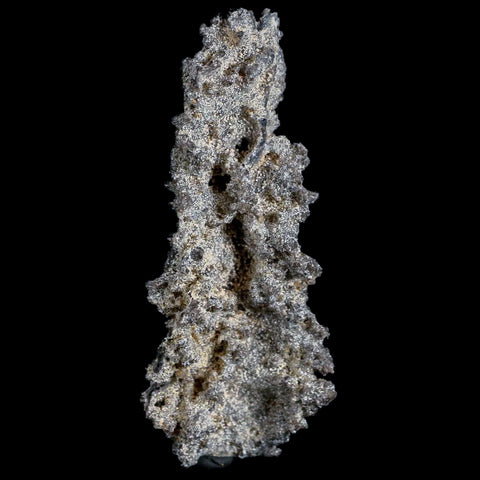 XL 3.1" Fulgurite Petrified Lighting Strike Glass Sahara Desert Algeria - Fossil Age Minerals