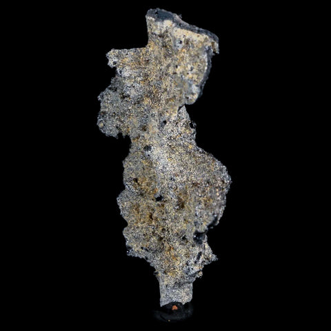 XL 2.8" Fulgurite Petrified Lighting Strike Glass Sahara Desert Algeria - Fossil Age Minerals