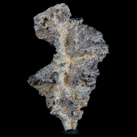 XL 2.8" Fulgurite Petrified Lighting Strike Glass Sahara Desert Algeria - Fossil Age Minerals