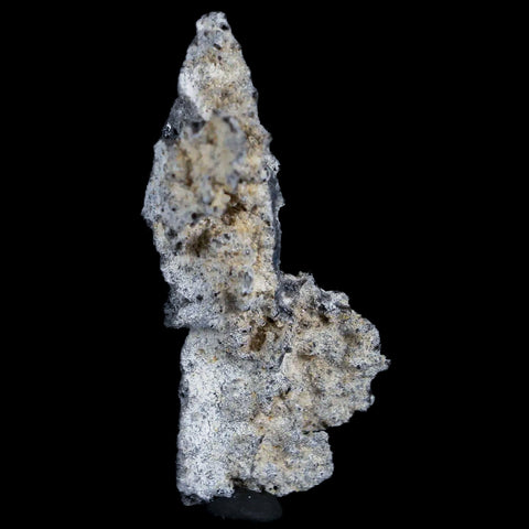 2.5" Fulgurite Petrified Lighting Strike Glass Sahara Desert Algeria - Fossil Age Minerals