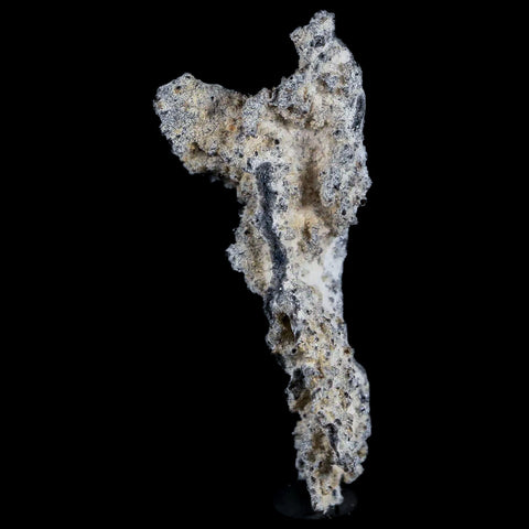 2.5" Fulgurite Petrified Lighting Strike Glass Sahara Desert Algeria - Fossil Age Minerals