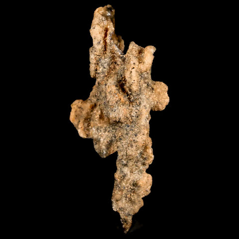 2.4" Fulgurite Petrified Lighting Strike Glass Sahara Desert Algeria - Fossil Age Minerals