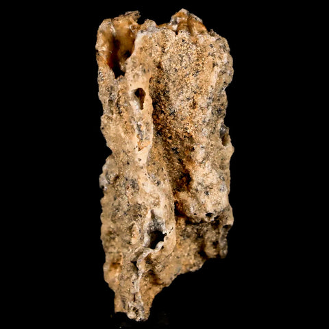 1.7" Fulgurite Petrified Lighting Strike Glass Sahara Desert Algeria - Fossil Age Minerals
