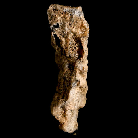 2" Fulgurite Petrified Lighting Strike Glass Sahara Desert Algeria - Fossil Age Minerals
