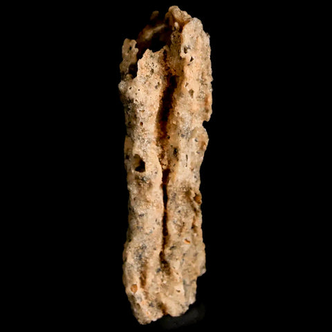 1.9" Fulgurite Petrified Lighting Strike Glass Sahara Desert Algeria - Fossil Age Minerals