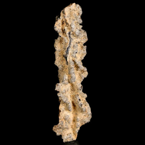 XL 2.7" Fulgurite Petrified Lighting Strike Glass Sahara Desert Algeria - Fossil Age Minerals