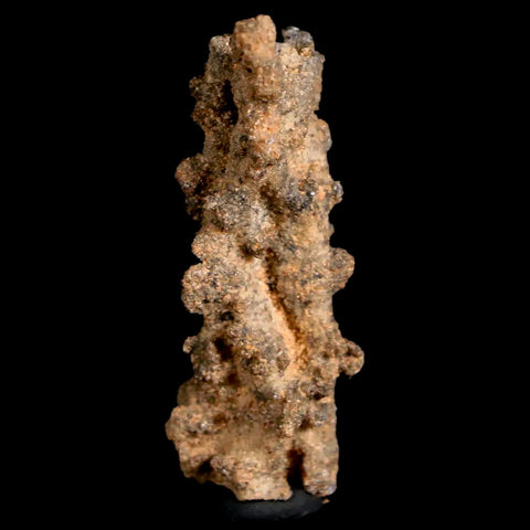 1.9" Fulgurite Petrified Lighting Strike Glass Sahara Desert Algeria - Fossil Age Minerals