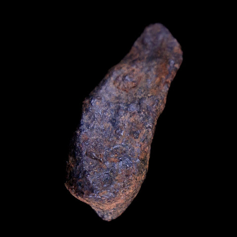 Gibeon Meteorite Specimen Riker Display Namibia Africa Meteorites 8.4 Grams - Fossil Age Minerals