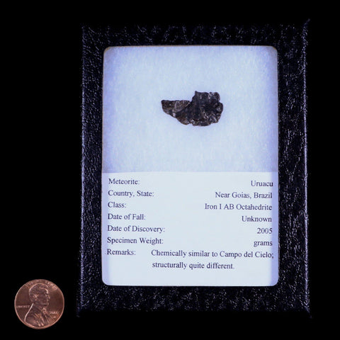 Uruacu Meteorite Specimen Riker Display Goias Brazil Meteorites 2.2 Grams - Fossil Age Minerals