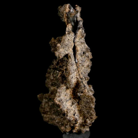 1.8" Fulgurite Petrified Lighting Strike Glass Sahara Desert Algeria - Fossil Age Minerals