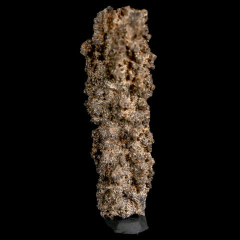 2" Fulgurite Petrified Lighting Strike Glass Sahara Desert Algeria - Fossil Age Minerals