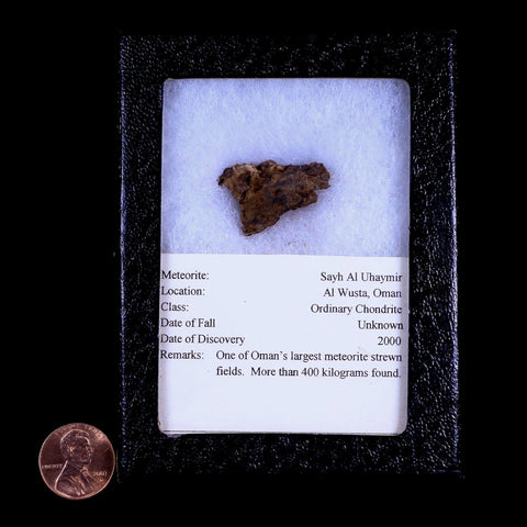 Sayh Al Uhaymir Meteorite Specimen Riker Display Al Wusta, Oman Meteorites 6.1 Grams - Fossil Age Minerals