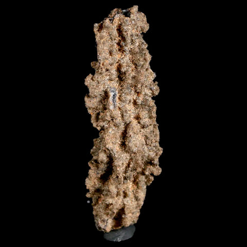 2.3" Fulgurite Petrified Lighting Strike Glass Sahara Desert Algeria - Fossil Age Minerals