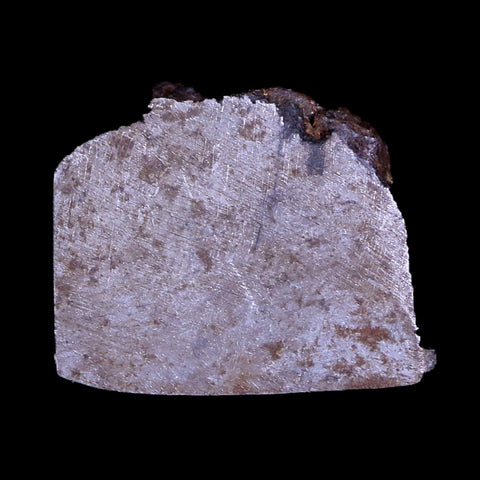 Gibeon Meteorite Specimen Riker Display Namibia Africa Meteorites 5.5 Grams - Fossil Age Minerals