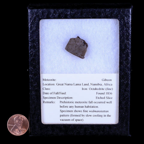Gibeon Meteorite Specimen Riker Display Namibia Africa Meteorites 5.5 Grams - Fossil Age Minerals