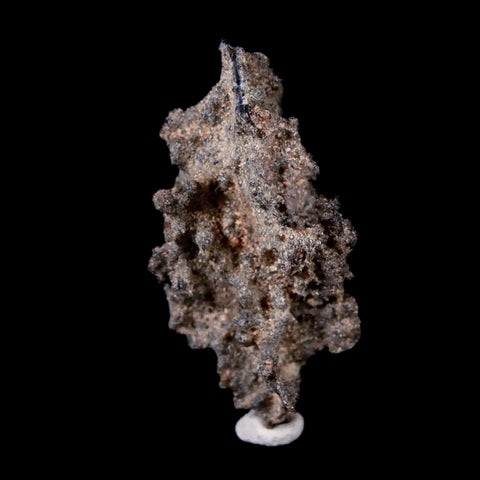 1.7" Fulgurite Petrified Lighting Strike Sahara Desert Morocco - Fossil Age Minerals
