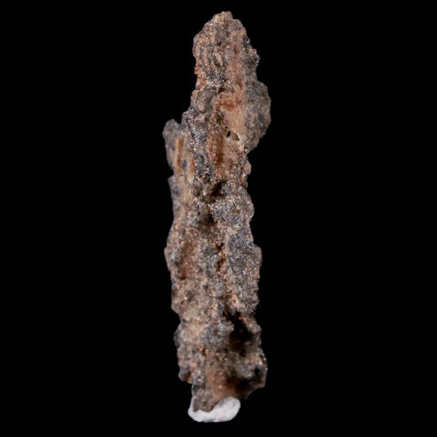 2.2" Fulgurite Petrified Lighting Strike Sahara Desert Morocco - Fossil Age Minerals