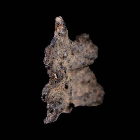 1.5" Fulgurite Petrified Lighting Strike Sahara Desert Morocco - Fossil Age Minerals