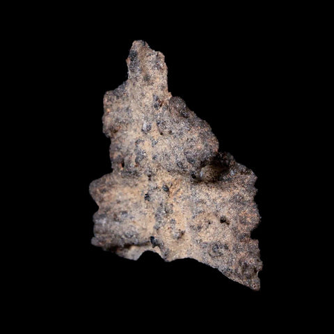 1.5" Fulgurite Petrified Lighting Strike Sahara Desert Morocco - Fossil Age Minerals