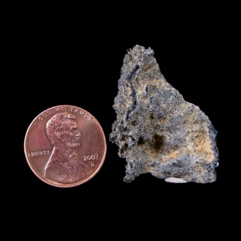 1.3" Fulgurite Petrified Lighting Strike Sahara Desert Morocco - Fossil Age Minerals