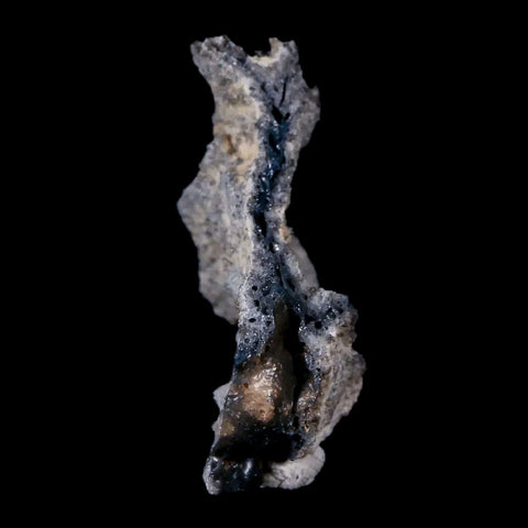 1.3" Fulgurite Petrified Lighting Strike Sahara Desert Morocco - Fossil Age Minerals