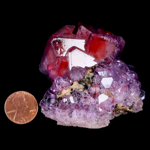 2.3" Stunning Purple Alum Crystal Mineral Specimen Sokolowski Location Poland - Fossil Age Minerals