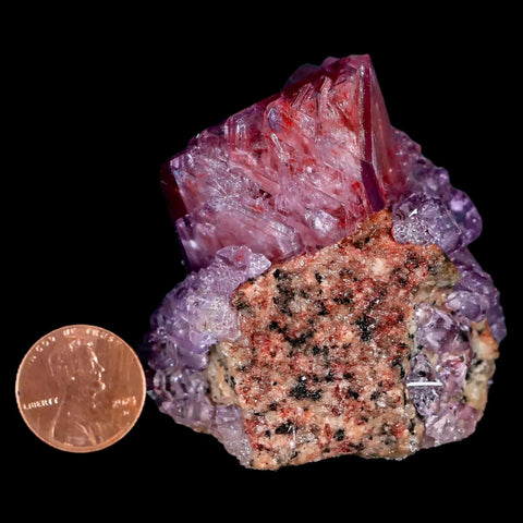 2.3" Stunning Purple Alum Crystal Mineral Specimen Sokolowski Location Poland - Fossil Age Minerals