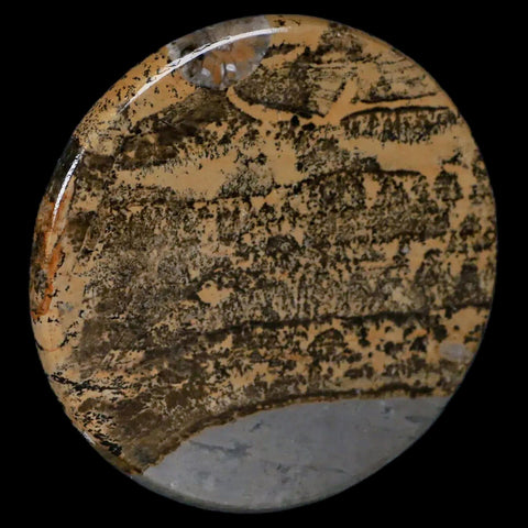 61MM Chinese Picture Jasper Mineral Specimen Round Polished Slab Liaoning, China - Fossil Age Minerals